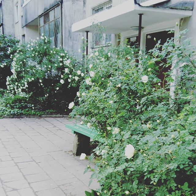 vilniu20_Gailė-Garnelytė-08.jpg